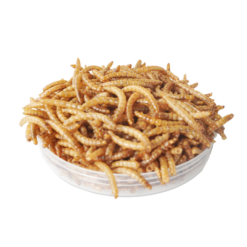 Food Snacks With Protein - High-Protein Snacks Hamster Food Birds Hedgehog