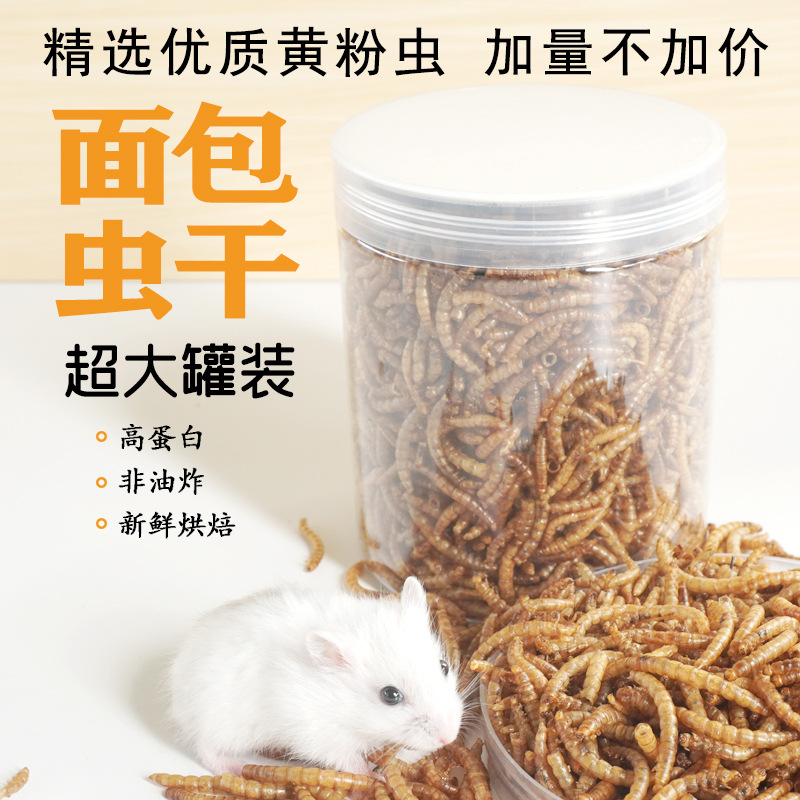 High-Protein Snacks Hamster Fo - Food Snacks With Protein 评论和价格